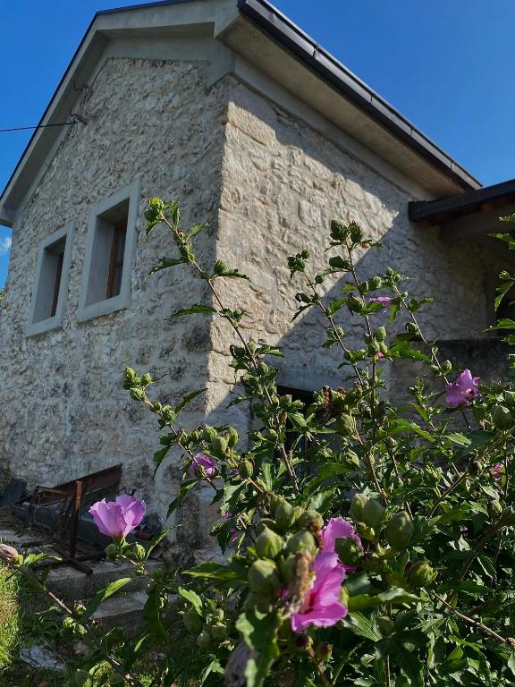 Apartman LENNA - Bed and Breakfast Trebinje