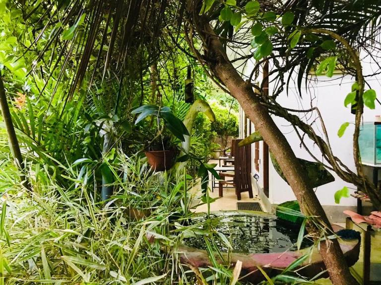 Green jade Inn Mirissa - B&B Mirissa