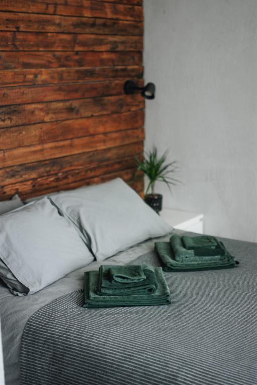 "Quiet Center" apartment, close to train station - Bed and Breakfast Tukums
