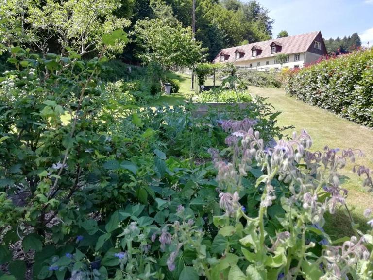 LA CLIMONTAINE - Chambres d'hôtes Urbeis