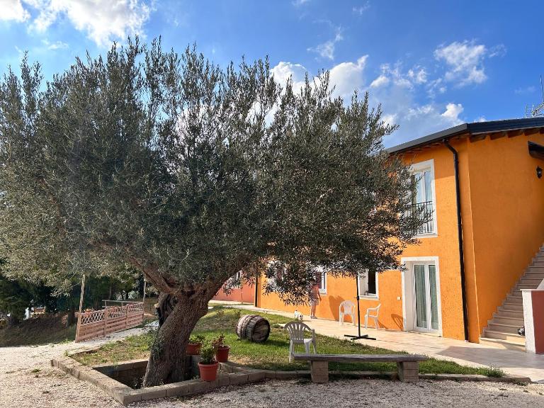 Agriturismo Collamato - B&B San Severino Marche
