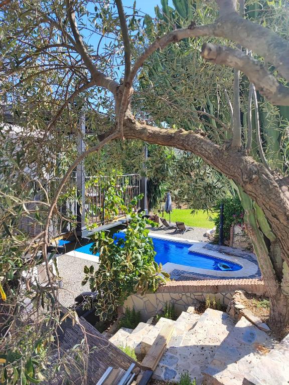 Studio Views Apartment, Cortijo Fruitful Hills - B&B Málaga
