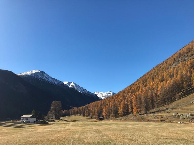 Chesa Piz d'Esan - B&B Scanfs
