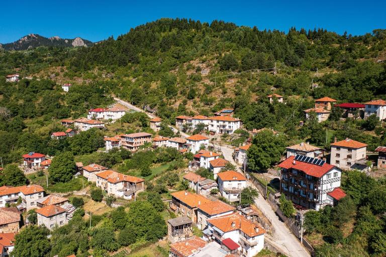 The Pine Living - Levochevo - B&B Levochevo
