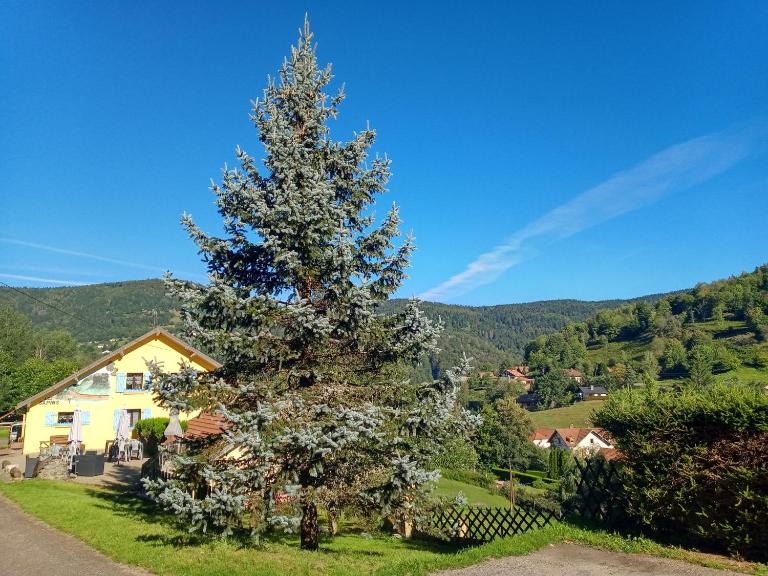 Les Sapins - Ferienwohnung Bussang