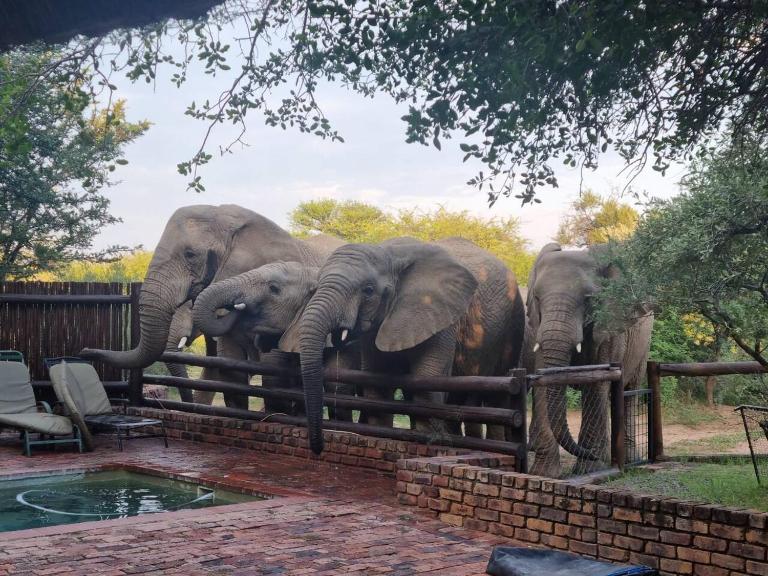 Bateleur Lodge, Mabalingwe - Ferienwohnung Bela-Bela