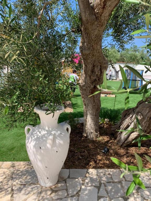 Tenuta Serena Apartments - Ferienwohnung Molfetta
