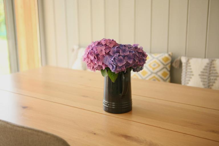 Ocean Breeze - B&B Cork
