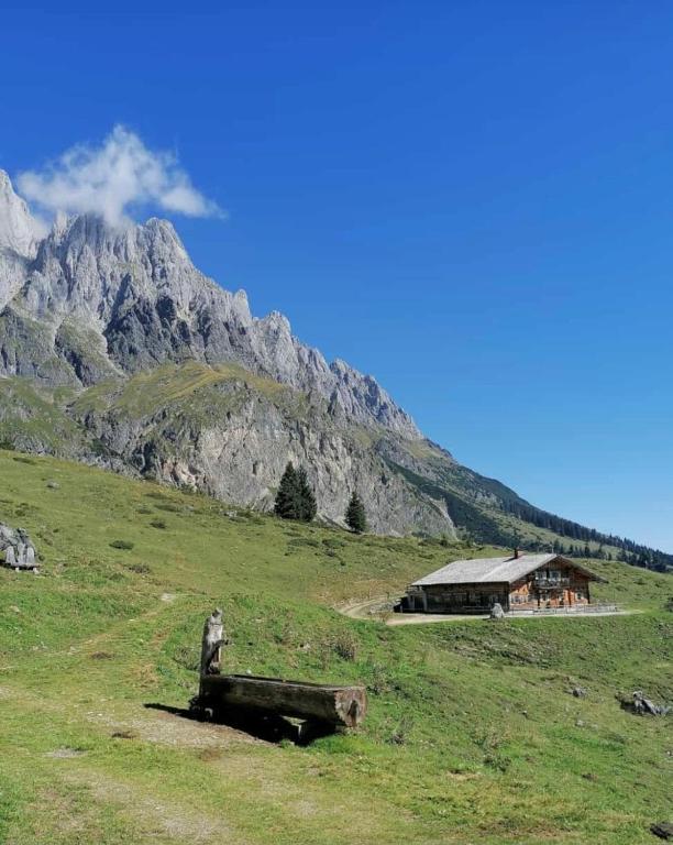 Bio Schartenalm - B&B Mühlbach am Hochkönig