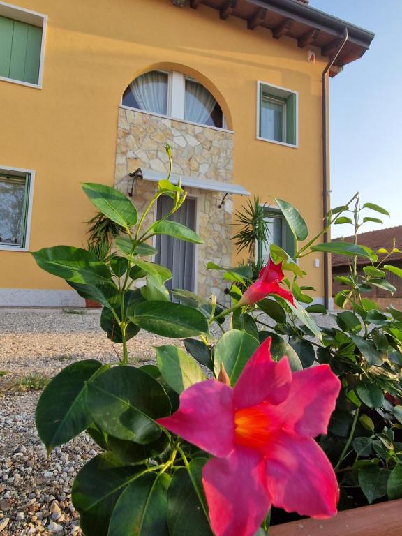 Agriturismo Fiore - Bed and Breakfast Ganfardine