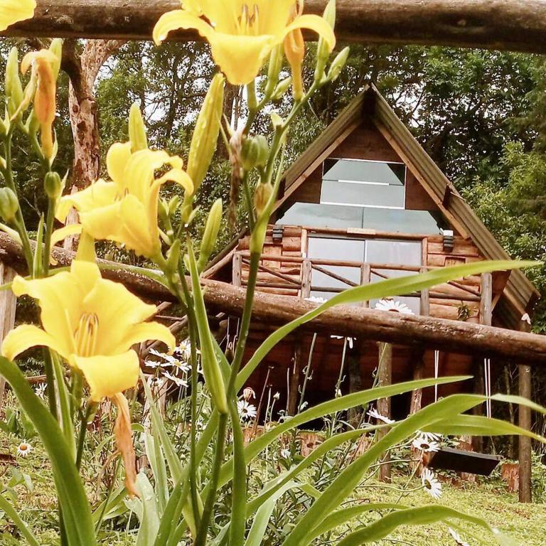 Recanto da Serra - Chambres d'hôtes Marmelópolis