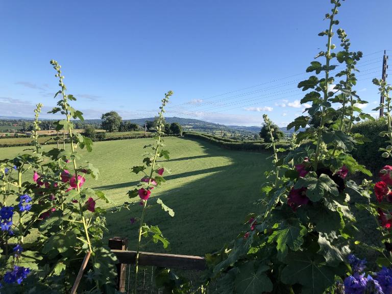 Betula Views - Chambres d'hôtes Newent