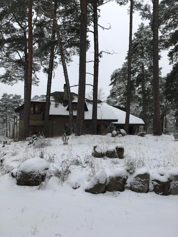 Vabaduse Guesthouse - B&B Narva-Jõesuu