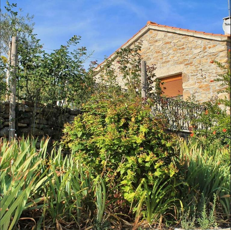 LÍRIOS DA GRANJA - CASA DE CAMPO - B&B Granja