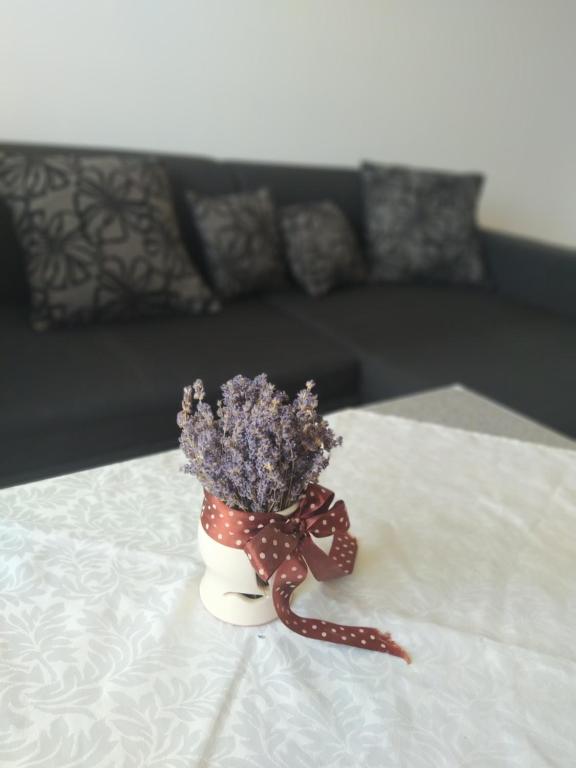 Sweet Home Appartman - B&B Kazincbarcika