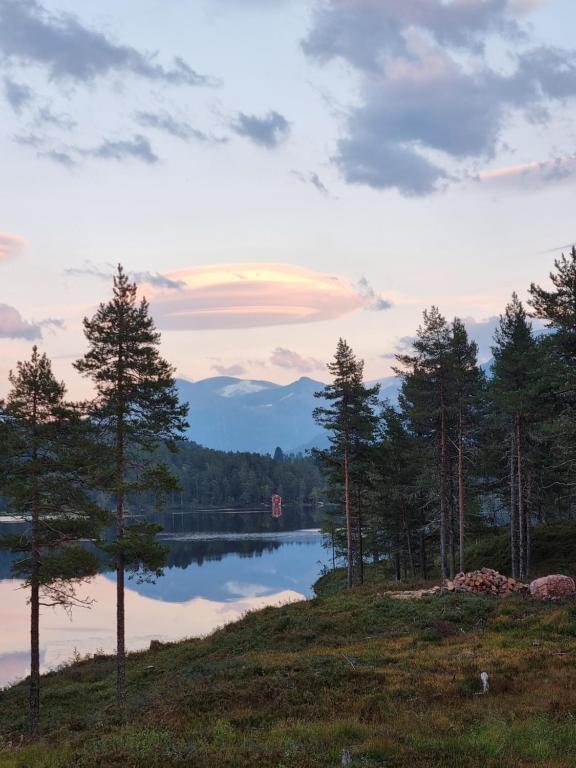 Charming house by a small lake - Ferienwohnung Stryn
