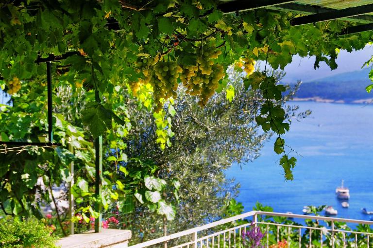 Apartment Nadija - B&B Rabac