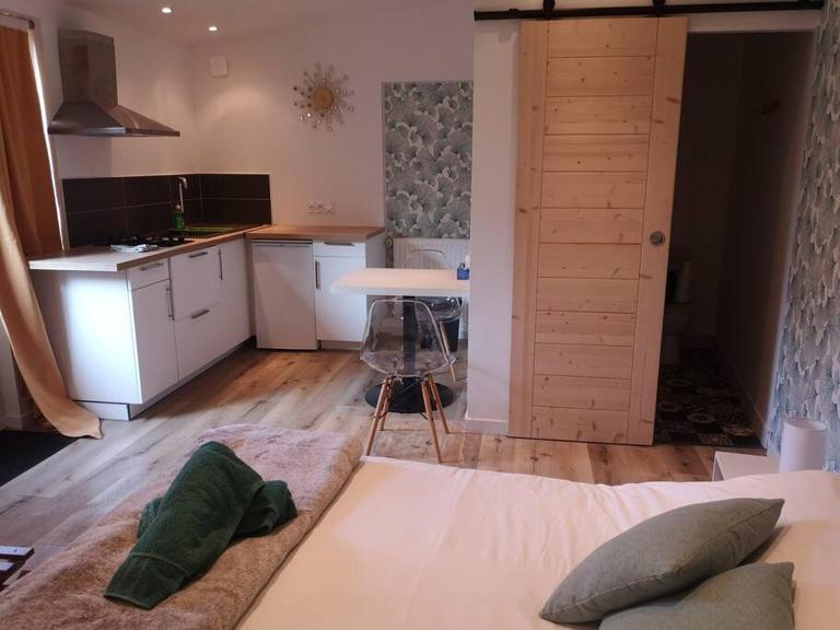 Studio neuf - accès SPA, SAUNA et Piscine Chauffée à partager - B&B Saint-Vivien