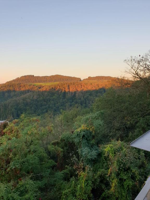 Manderscheid Ferienwohnung mit Weitblick - B&B Manderscheid