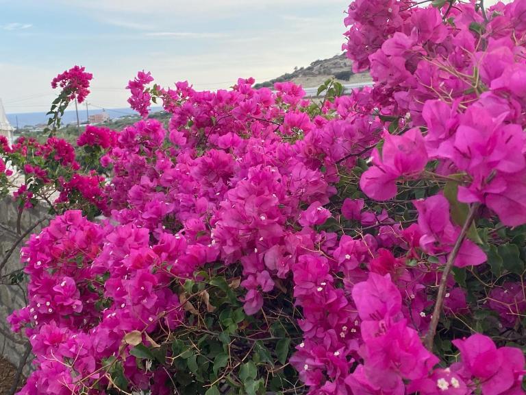 Villa Marmelada - B&B Ierapetra