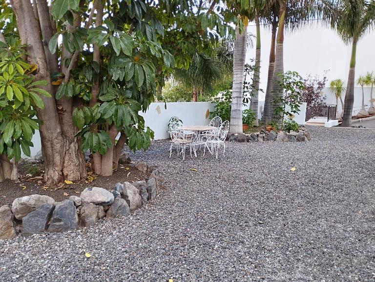Las palmeras - B&B Güimar