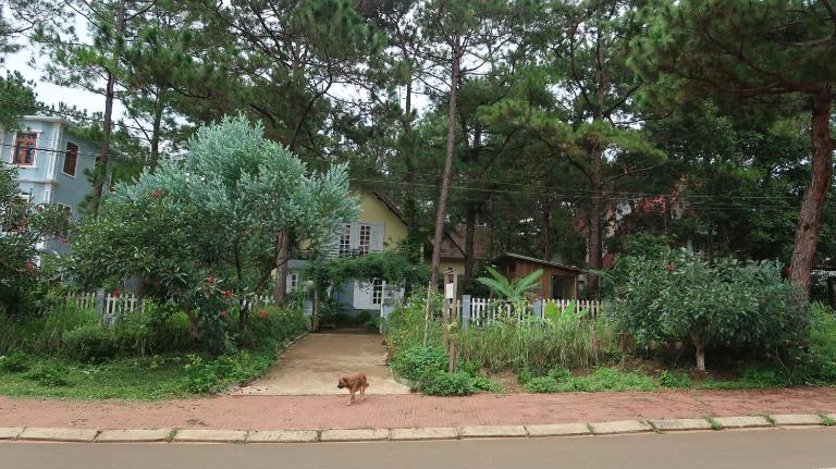 La Maison Homestay Măng Đen - B&B Kon Tum