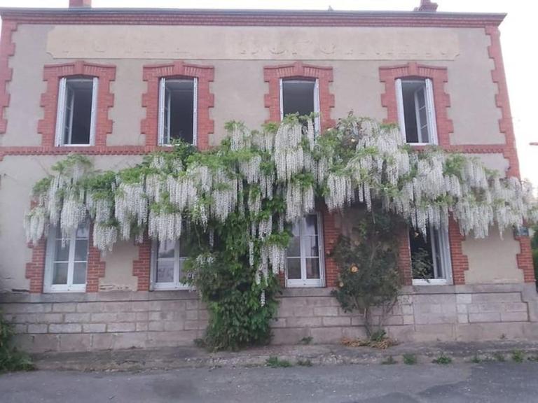 les glycines - Ferienwohnung Saint-Marien