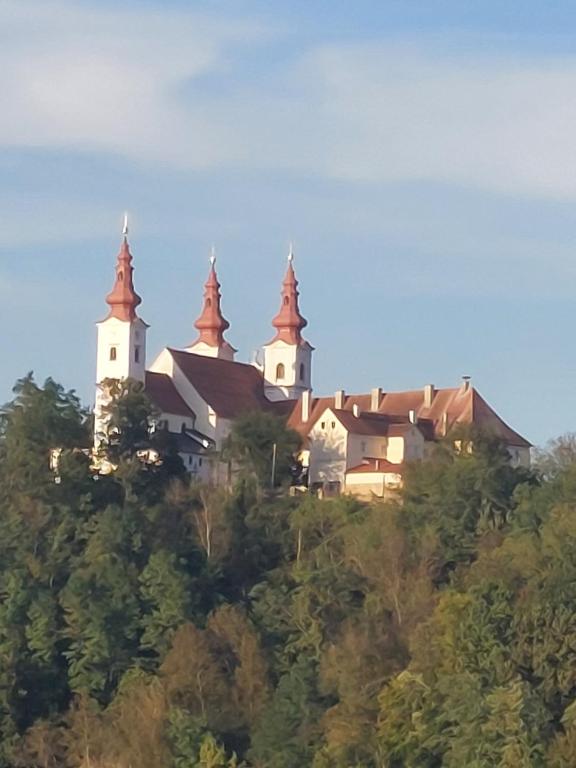 Prenočišče ČERNOŠA Apartma Studio - B&B Sv. Trojica v Slov. Goricah