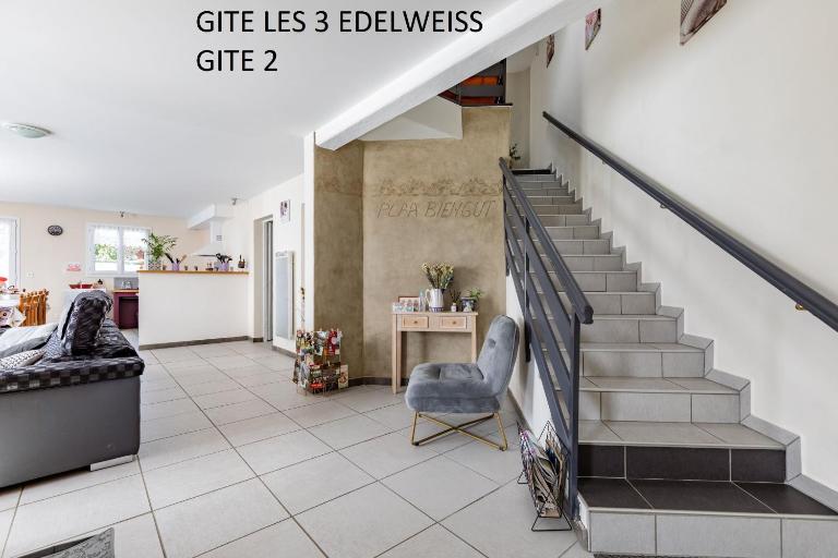 Les 3 Edelweiss - GITE 1 OU GITE 2 -maxi 10 personnes par gite- - Ferienwohnung Arette