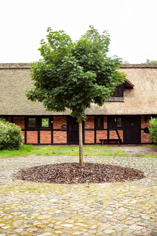 Reihenhaus für 2 nahe Golfplatz *timbered* - B&B Barum