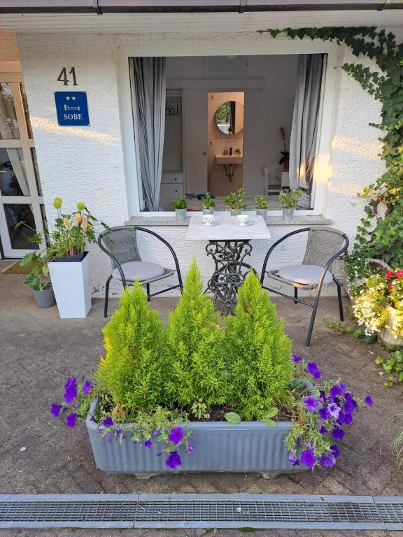 Soba Dvori - B&B Zaprešić
