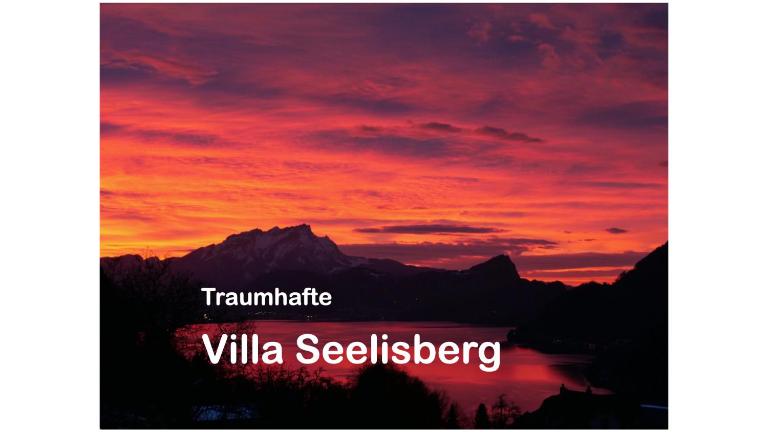Traumhafte Villa Seelisberg - Chambres d'hôtes Seelisberg