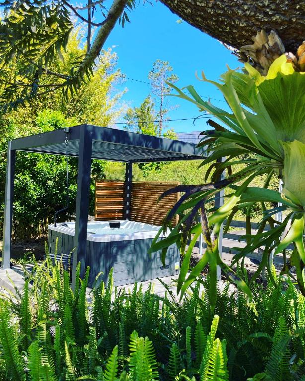 Le Chakouat - B&B Cilaos