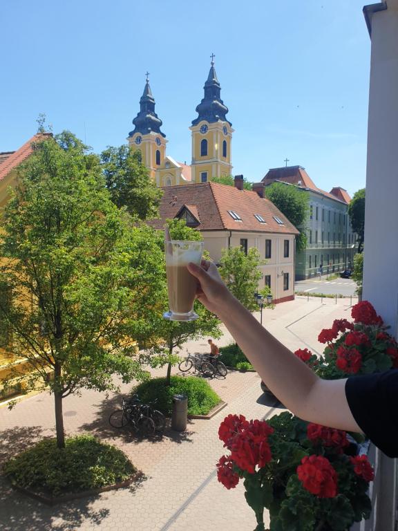 ANNA GYÖNGYE APARTMAN DEBRECEN - B&B Debrecen