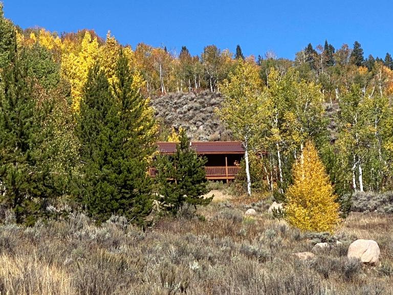 Whistle Pig Retreat at 22 West Cabins and Recreation - Bed and Breakfast Hebron