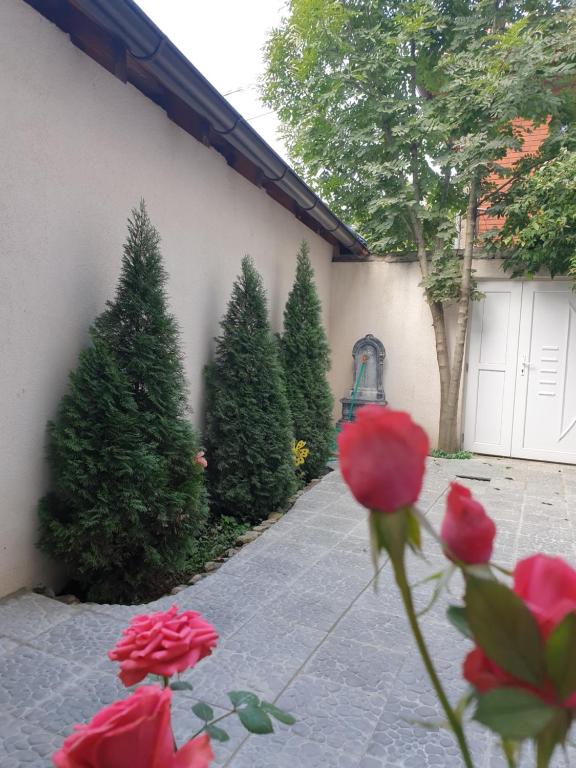 Apartments Old Town - Bed and Breakfast Sarajevo