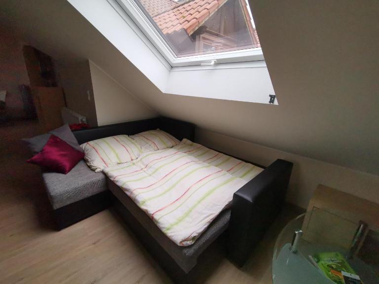 Studio und Apartment auf dem Pferdehof - Ferienwohnung Burgpreppach