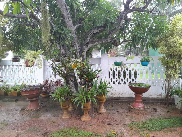 Ralph recedency - Bed and Breakfast Kochchikade