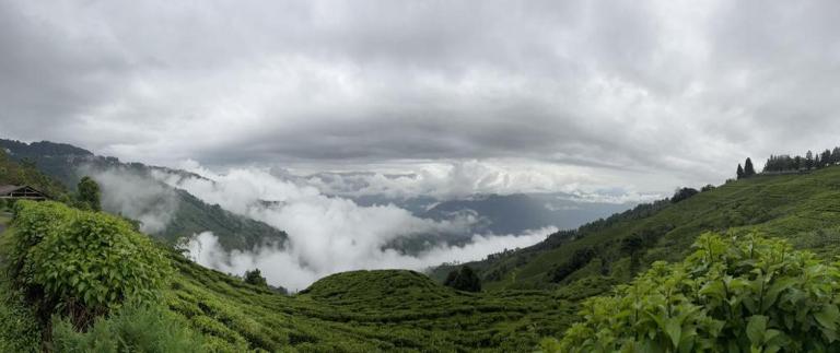 Athithi homestay - B&B Dārjiling