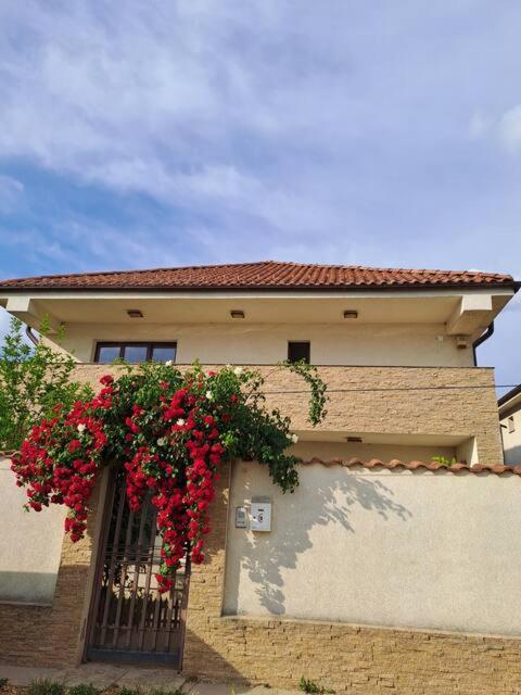Casa verde 2 - B&B Pantelimon