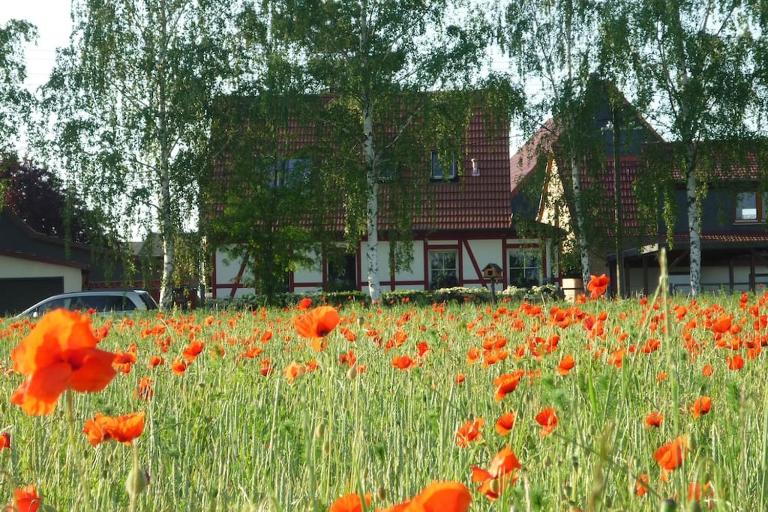 Erpelhaus in ländlicher Idylle mit Stadtnähe zu Erfurt und Weimar - B&B Utzberg