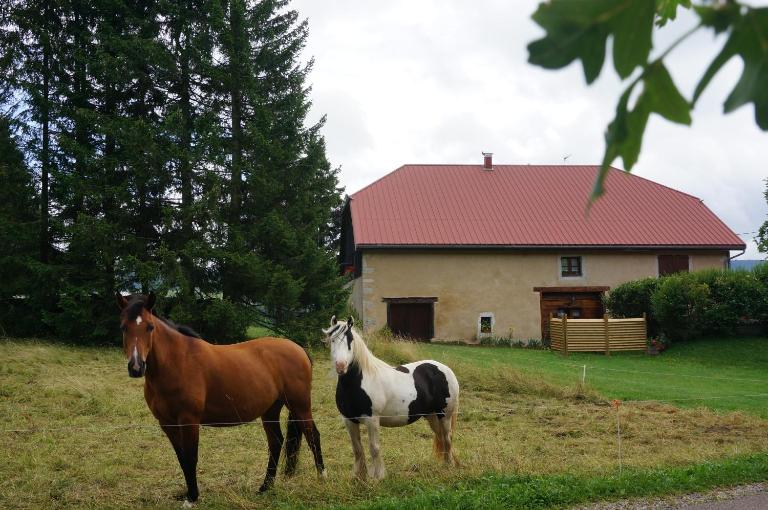 Le Bois gentil - B&B Foncine-le-Haut