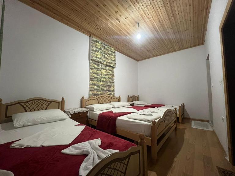 Mikel Center Theth Guesthouse - B&B Shkoder
