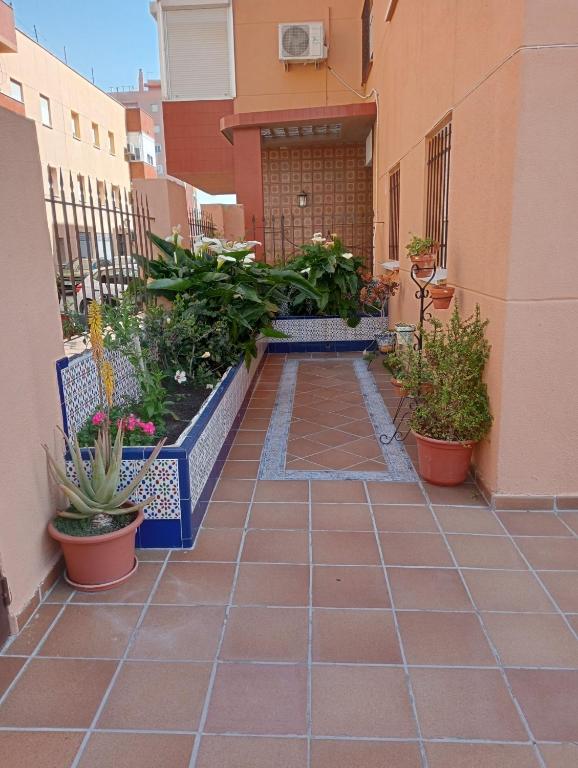 LOS MELLIS - B&B Sanlúcar de Barrameda