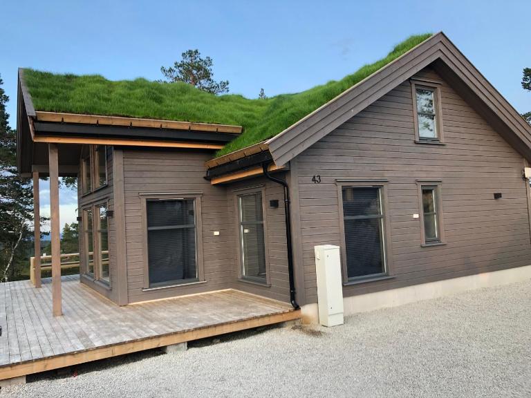 Moderne fjellhytte Gautefall, Norge - B&B Drangedal