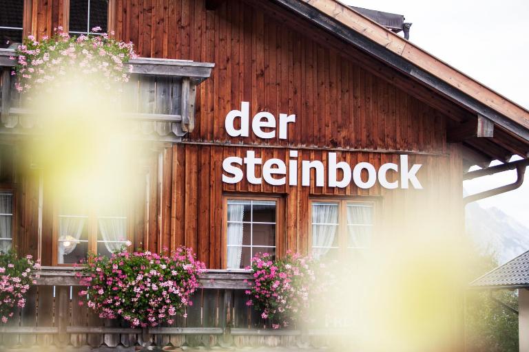 Chalet Hildegard der Steinbock Sommerwohnung Winterferienhaus - B&B St Anton am Arlberg