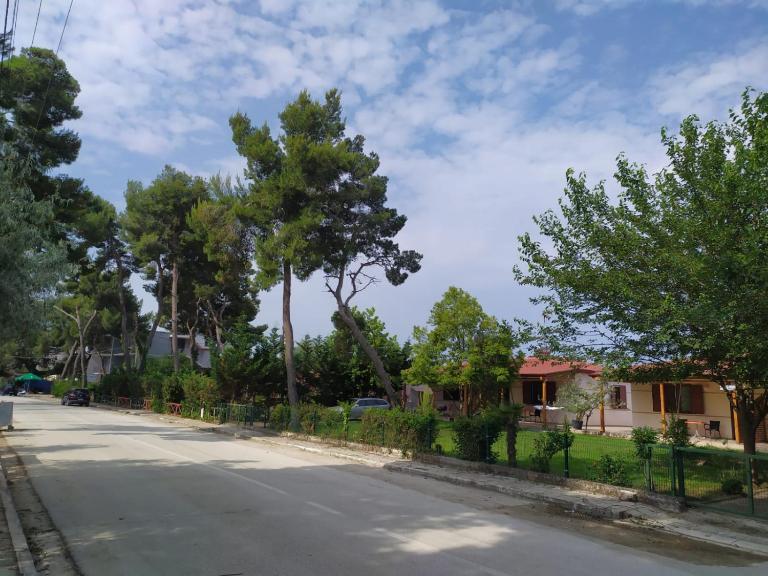 Vila 7 Divjake - Bed and Breakfast Divjakë
