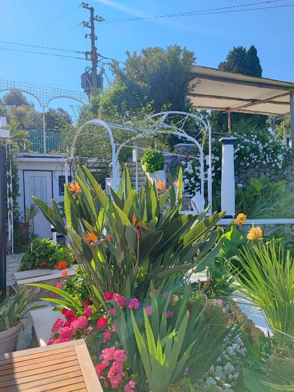 villa la guardia - B&B Anacapri