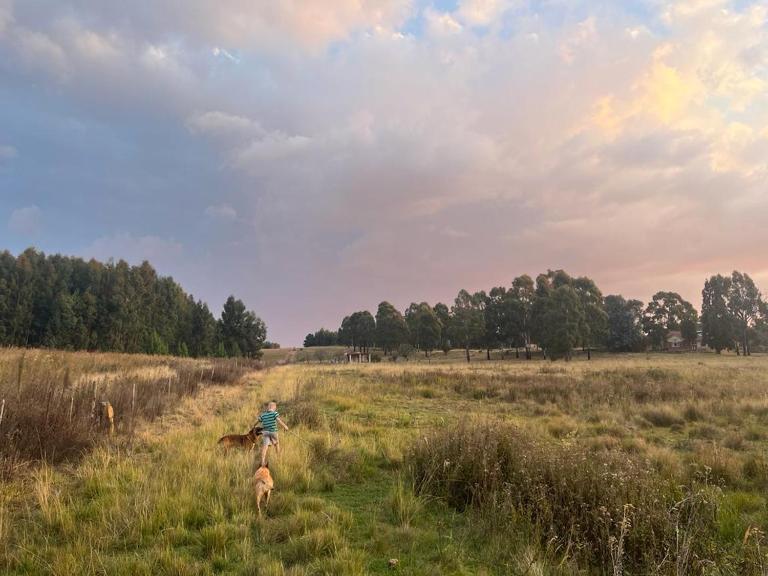 Kwaggaskop Farm Kliphuis - B&B Dullstroom
