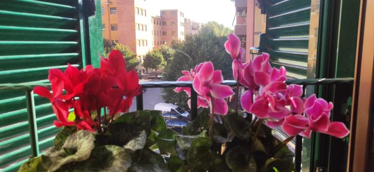 Casetta del Quadraro - Bed and Breakfast Rome